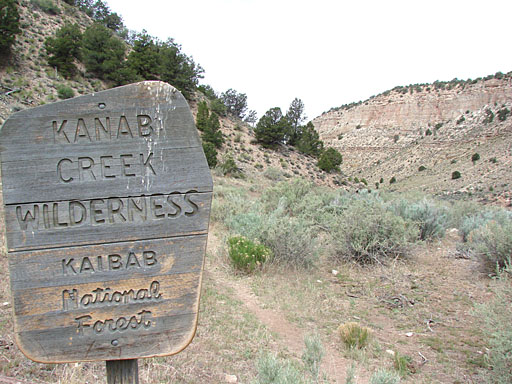 02 - Kanab Creek Wilderness