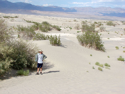 05 - Sand Dunes