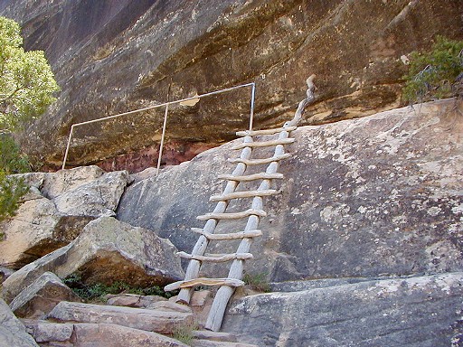 58 - Natural Bridges NM - Ladder on trail to Sipapu Natural Bridge