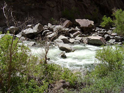 46 - Wild Gunnison River