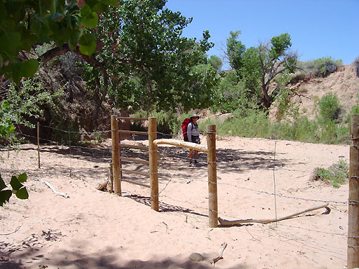 69 - Cattle fence