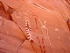 42 - Ancient rock art