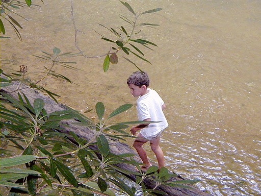 09 - Harry, please play with me in the creek