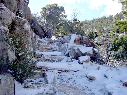12 - Snowy Hermit trail