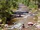 35 - People cooling off in the creek
