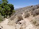 52 - Tonto Trail junction
