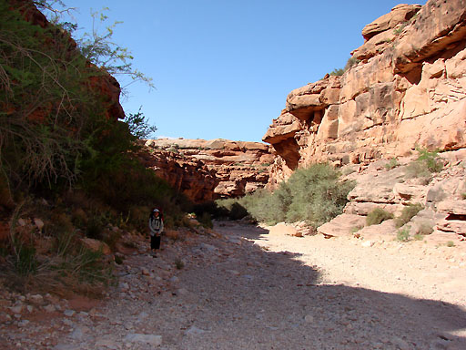 05 - Hualapai Stream Bed