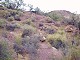 08 - Nice trail on Escalante Route