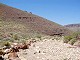 18 - Arriving at Escalante Creek