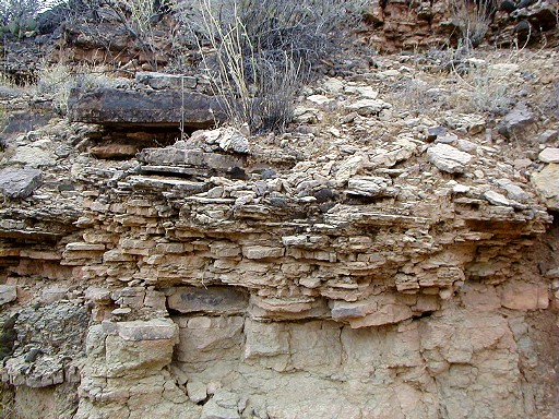 14 - Sedimentary rock