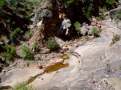 27 - Stagnant pools at Serpentine Canyon