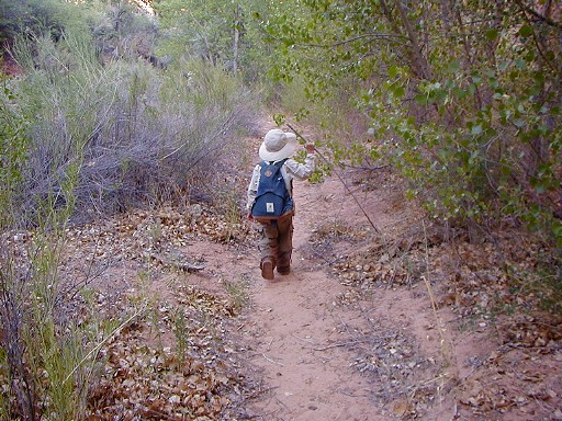 04 - Hiking the trail