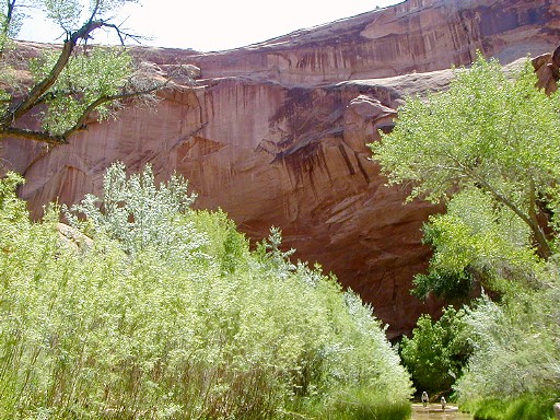 13 - Dwarfed by the canyon walls