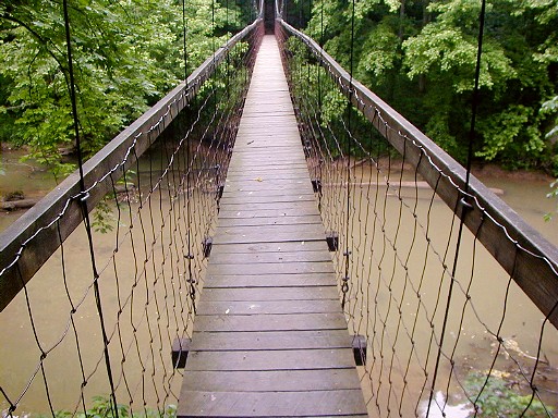 25 - Swinging Bridge