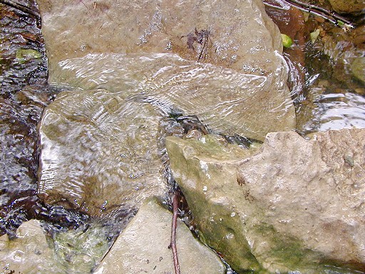 29 - Water over rocks