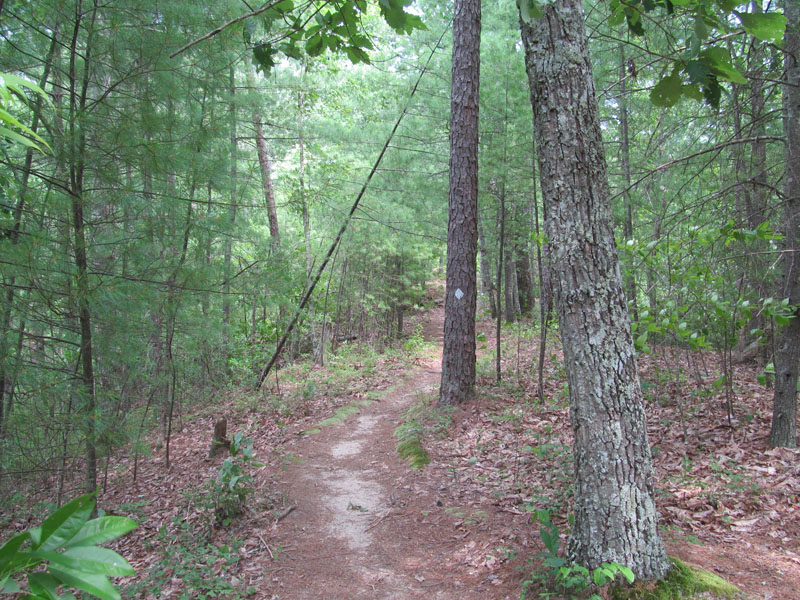 00 - Koomer Ridge Trail