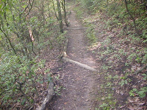 11 - Water log to lessen trail erosion