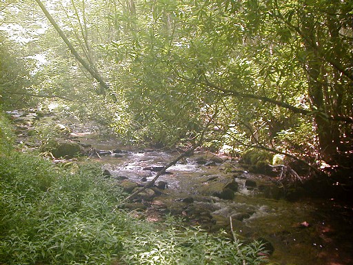 17 - Kimsey Creek