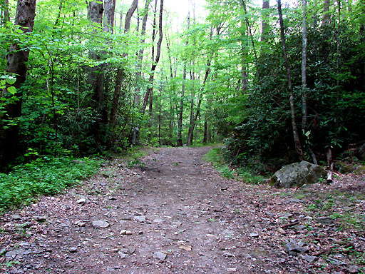 16 - Big Creek Trail