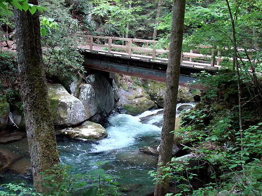 19 - Bridge over Big Creek