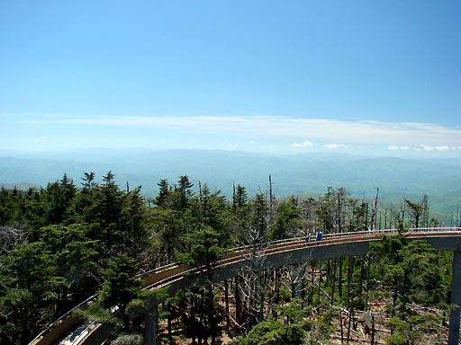 37 - View from Clingmans Dome
