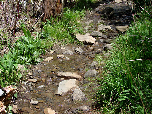 59 - Wet Forney Ridge Trail