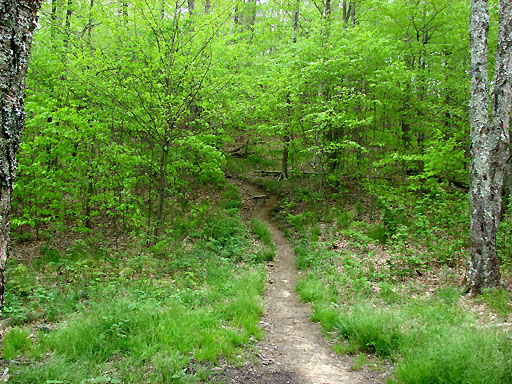 64 - Appalachian Trail