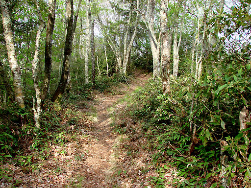72 - Miry Ridge Trail