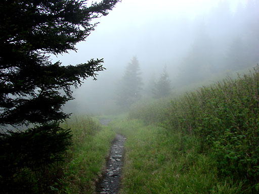 95 - Foggy Appalachian Trail