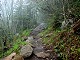 89 - Foggy Appalachian Trail