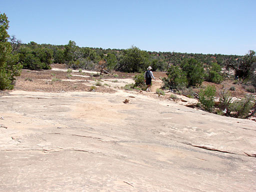 56 - Level Mesa Trail