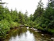 02 - Dunkenbarger creek